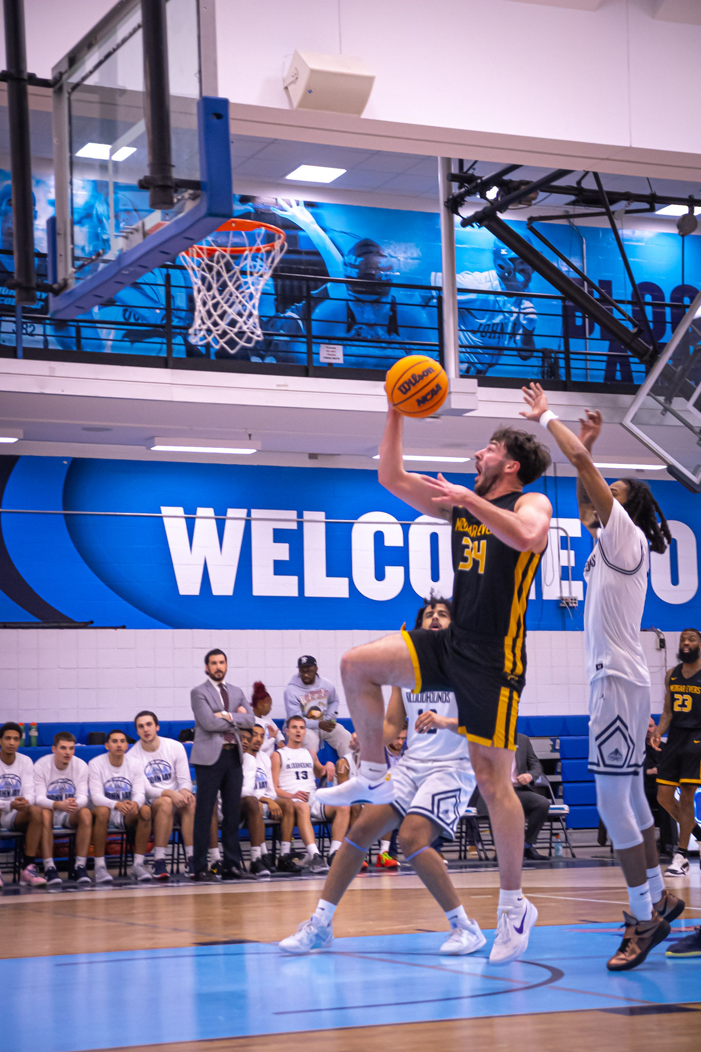 Get dunked on 2